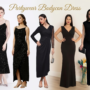party wear bodycon dress
